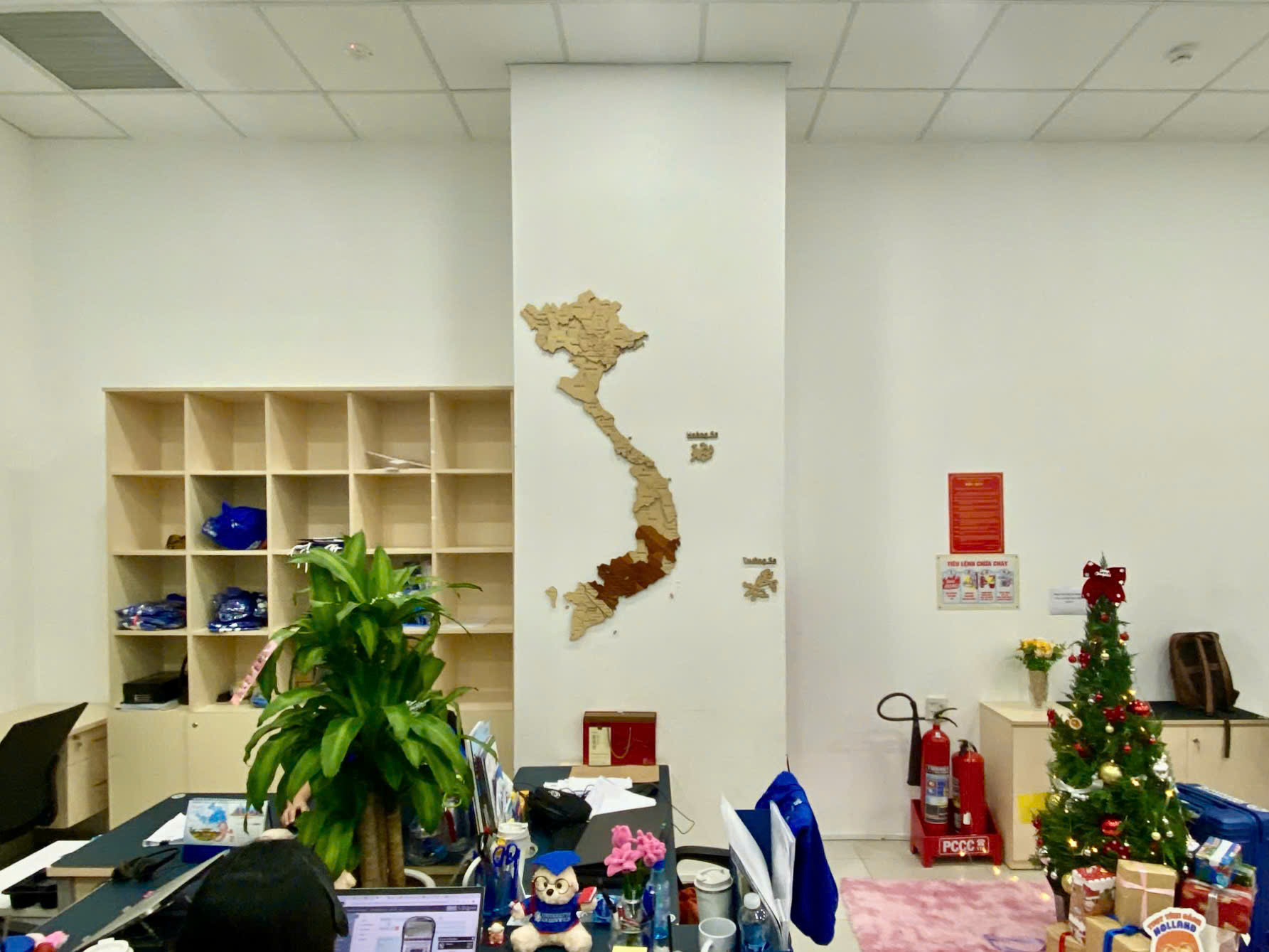 ban-do-viet-nam-3d-bang-go-migo-decor