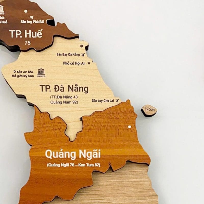 ban-do-viet-nam-3d